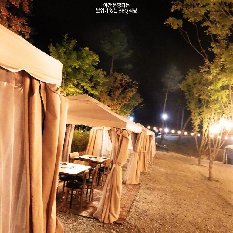 Fotografie z fotogalerie ubytování Pine Forest Jeongseon Alpine Resort v destinaci Čongson