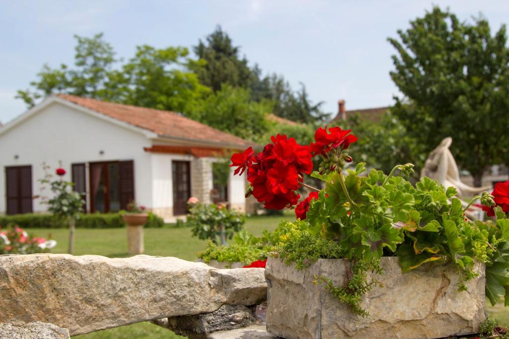 Vonkajšia záhrada v ubytovaní Holiday Home Linet