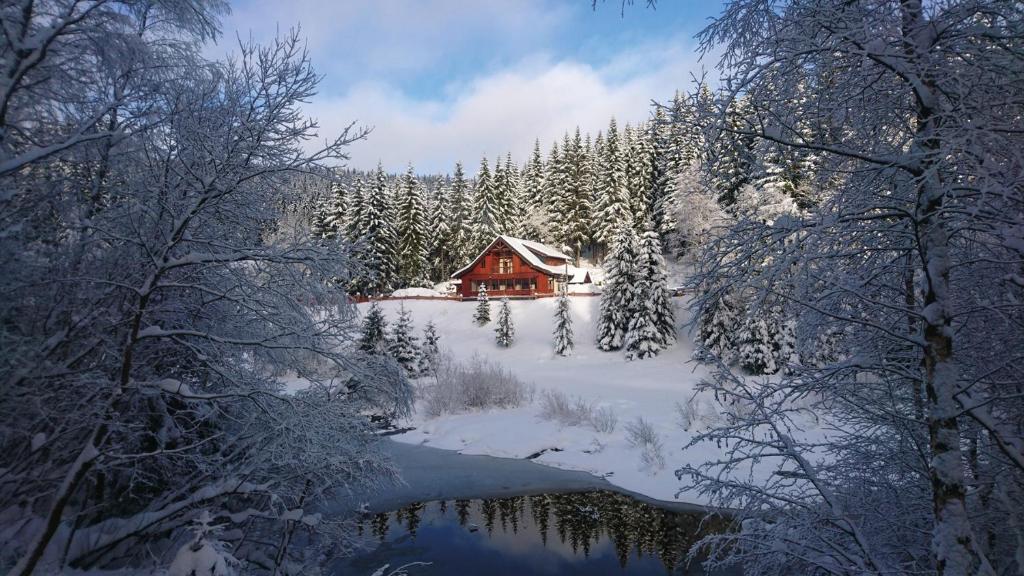 a cabin in a forest with snow covered trees and a river at Jezírko lesní restaurant & penzion in Jáchymov