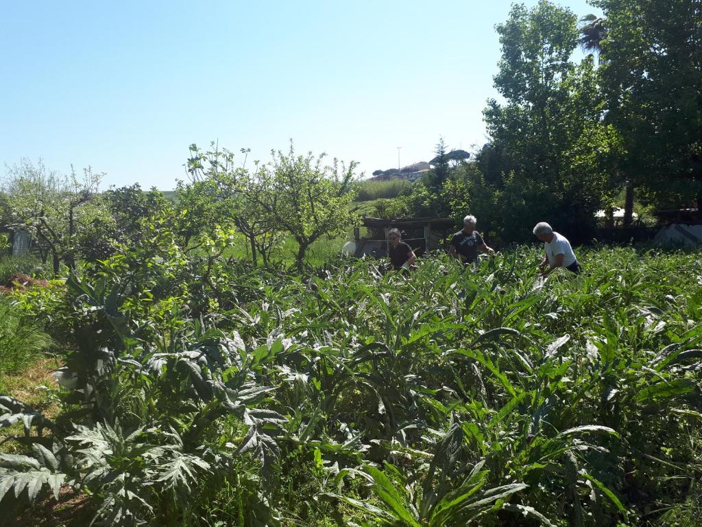 Goście zatrzymujący się w obiekcie B&B Il Giardino di Gabri