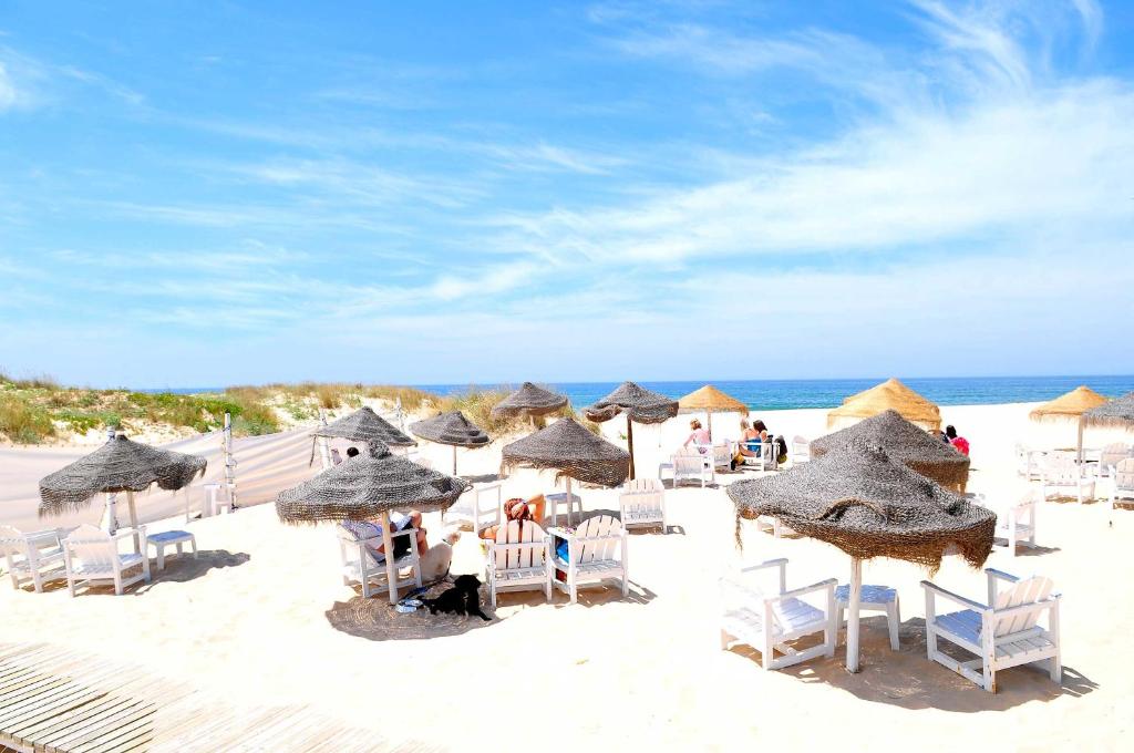 a beach with chairs and umbrellas on the beach at Lisbon Beach Apartments 4 in Costa da Caparica