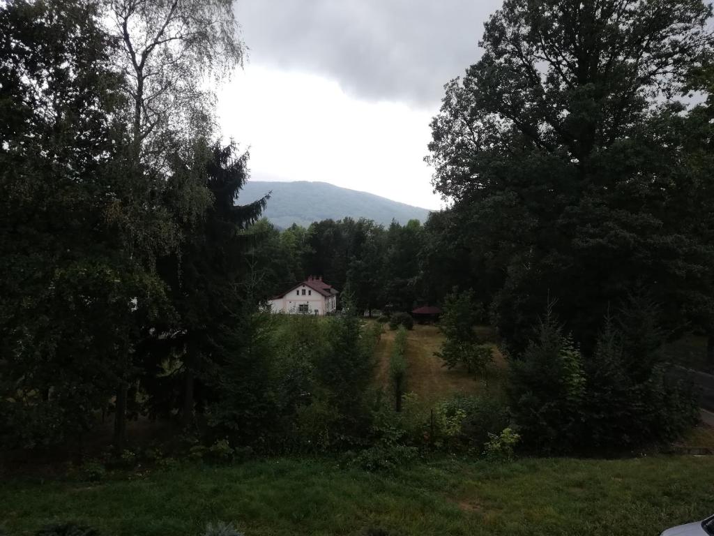 Příroda nedaleko venkovského domu