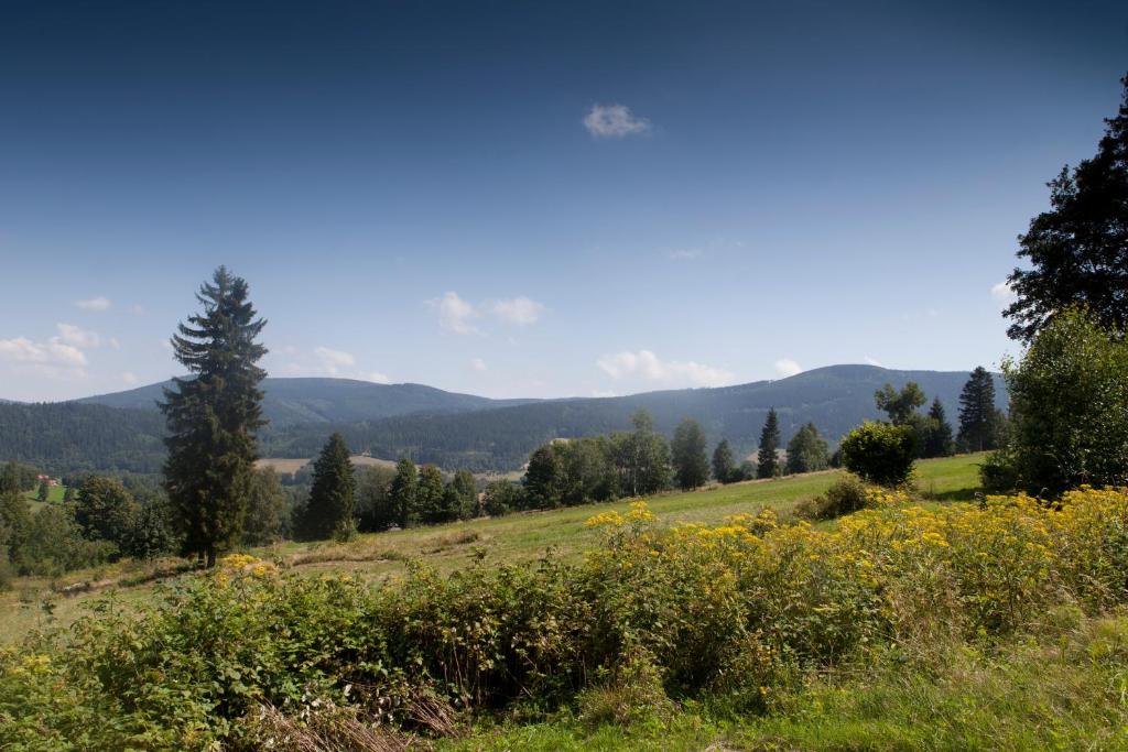 Príroda v okolí apartmánu