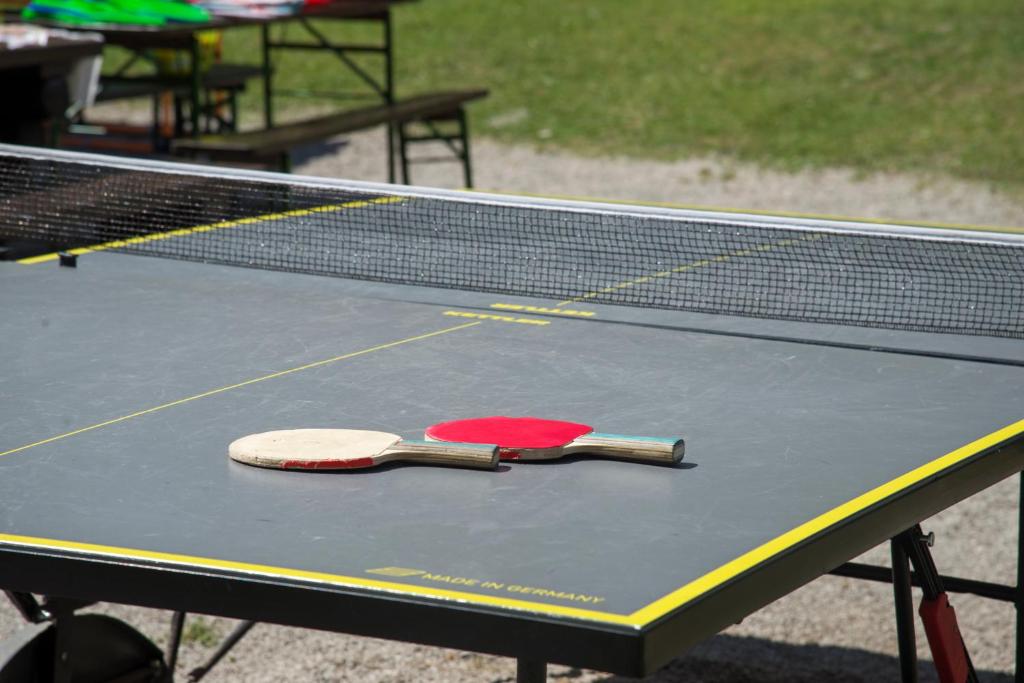 Stolný tenis v ubytovaní Alpenhotel Weitlanbrunn alebo v jeho okolí