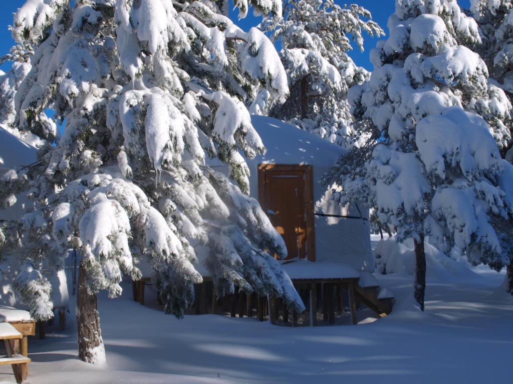 a snow covered cabin in the middle of a forest at Vale do Rossim Eco Resort in Gouveia
