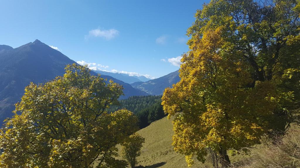 Príroda v okolí penziónu
