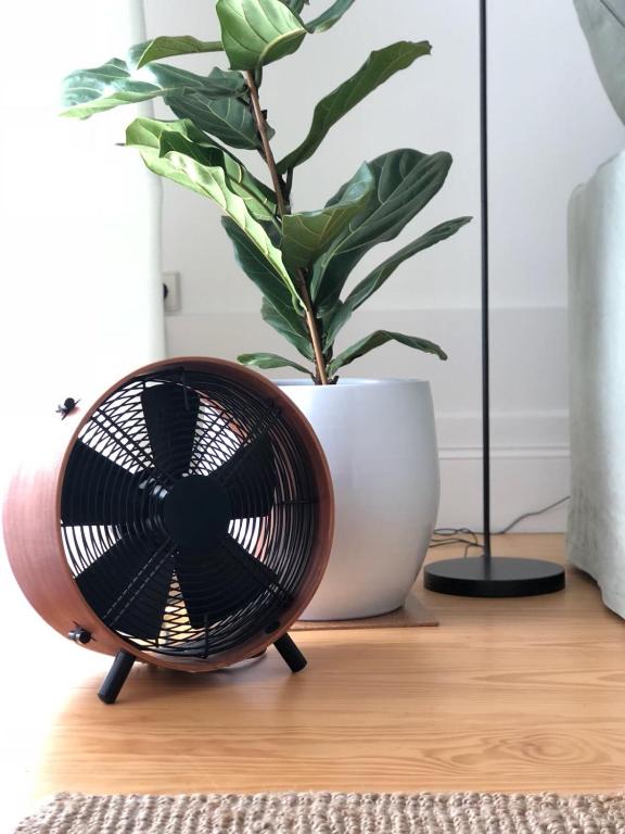 B28 Apartments Porto - 9