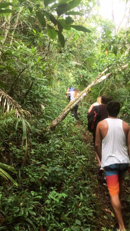  Bamboo Groove Hostel