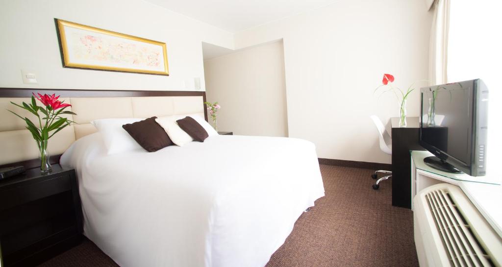TV a/nebo společenská místnost v ubytování Roosevelt Hotel & Suites