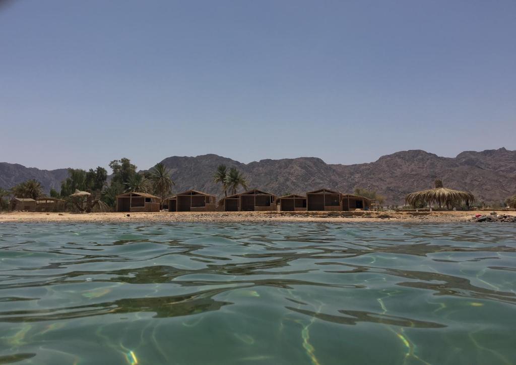 a view from the water of a beach with huts at Sina Star Camp in Nuweiba