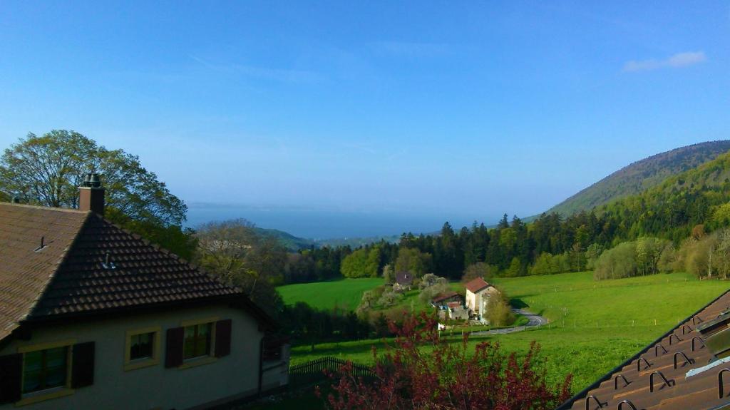 a house on a hill with a green field at La Petite Fleur in Enges
