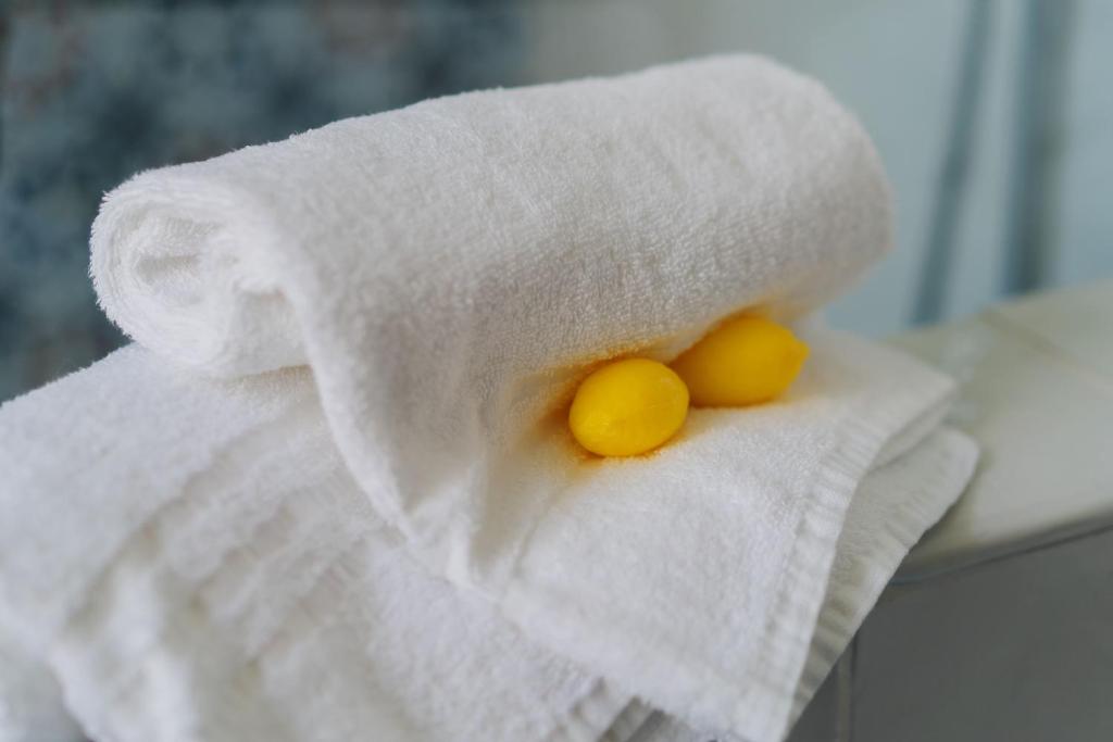 Lemon Factor Sorrento - 19