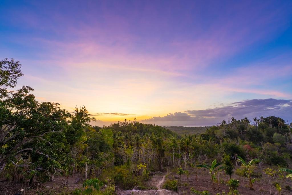 Mount Sea View Bungalow - 16