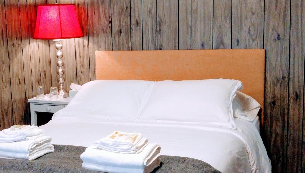 Postel nebo postele na pokoji v ubytování Pine Hill Arms Hotel