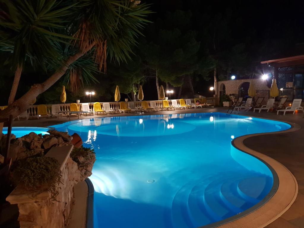 a pool at night with chairs and a palm tree at Villaggio Mascia in Vieste