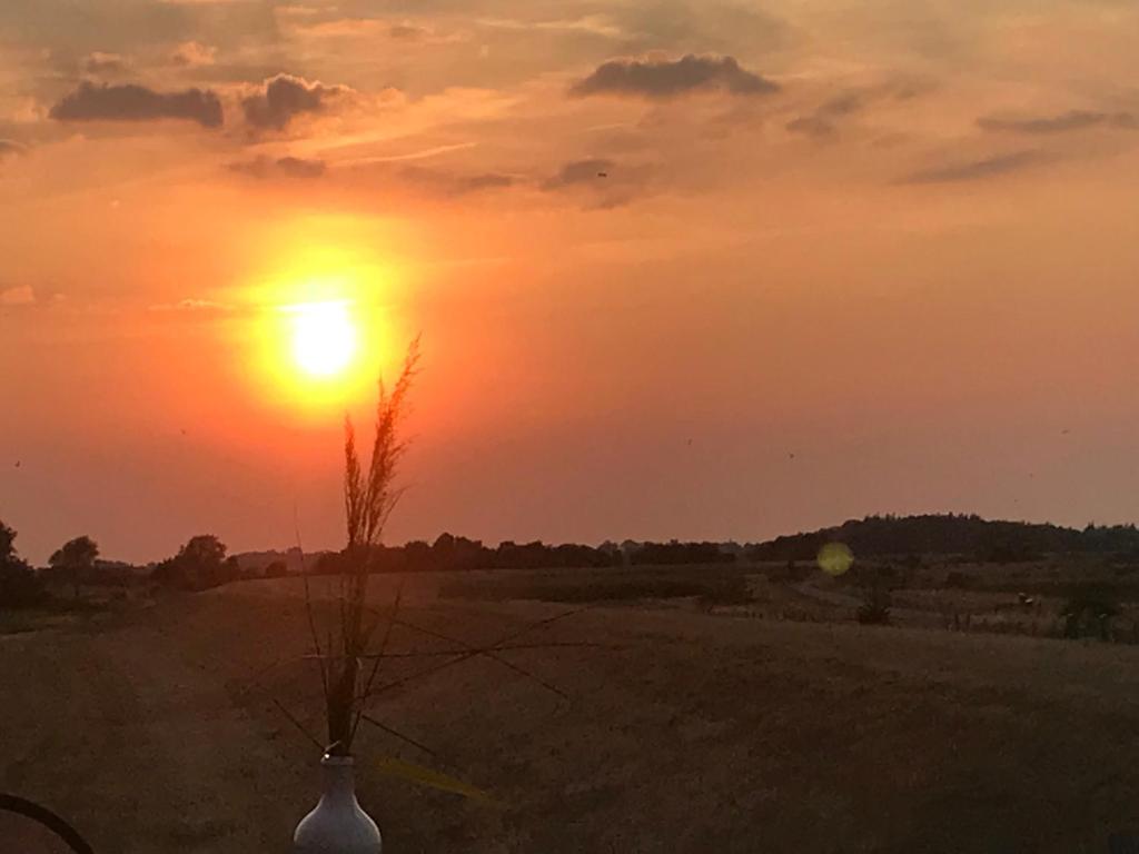 einen Sonnenuntergang auf einem Feld mit einer Vase auf einem Feld in der Unterkunft Ferienwohnung Freitag in Gammendorf