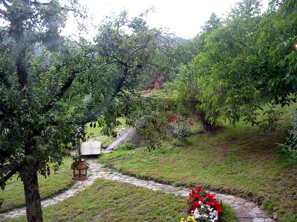 Zahrada ubytování Schnurrenhof