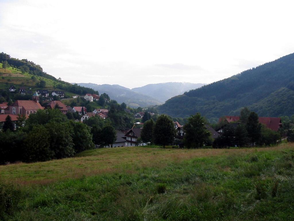 Příroda nedaleko apartmánu