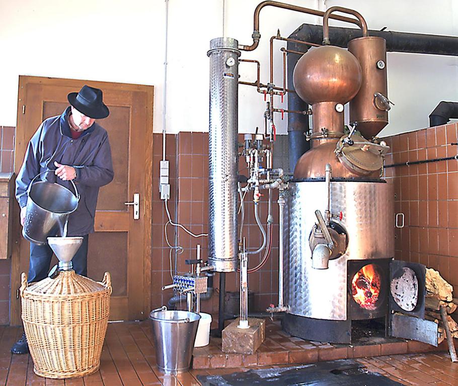 Hosté ubytování Schnurrenhof