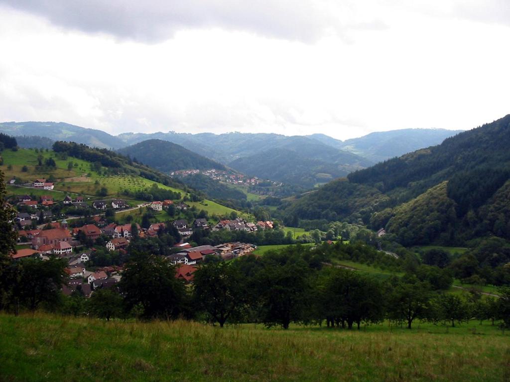 Příroda nedaleko apartmánu