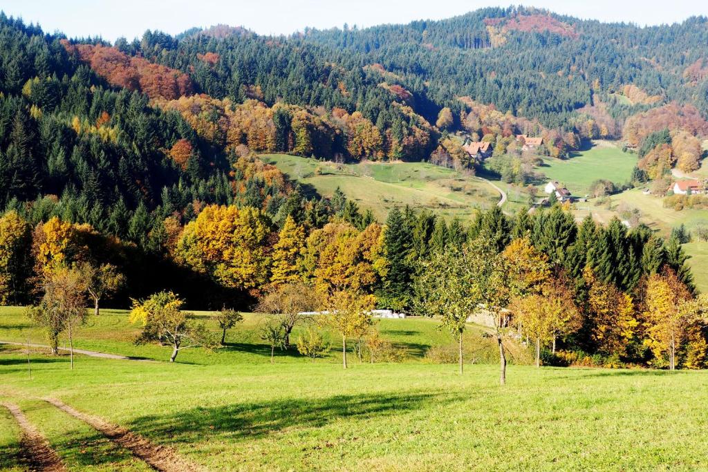 Příroda nedaleko apartmánu