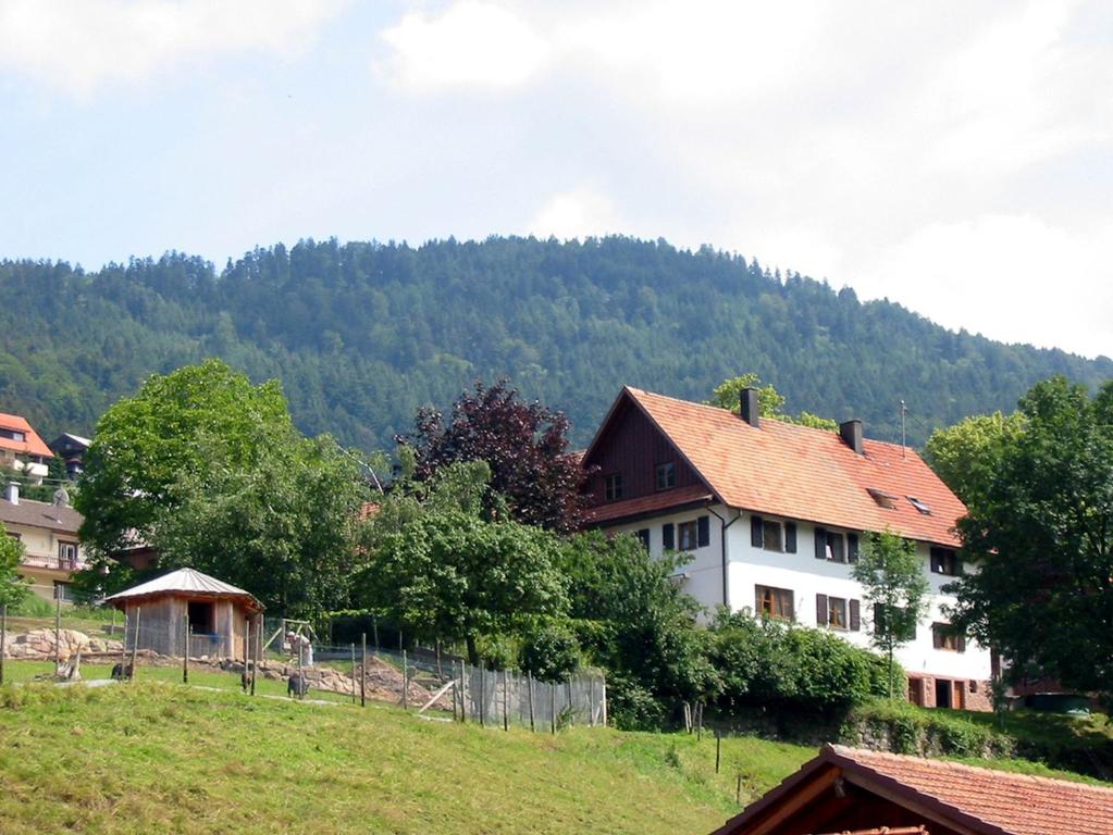 Příroda nedaleko apartmánu