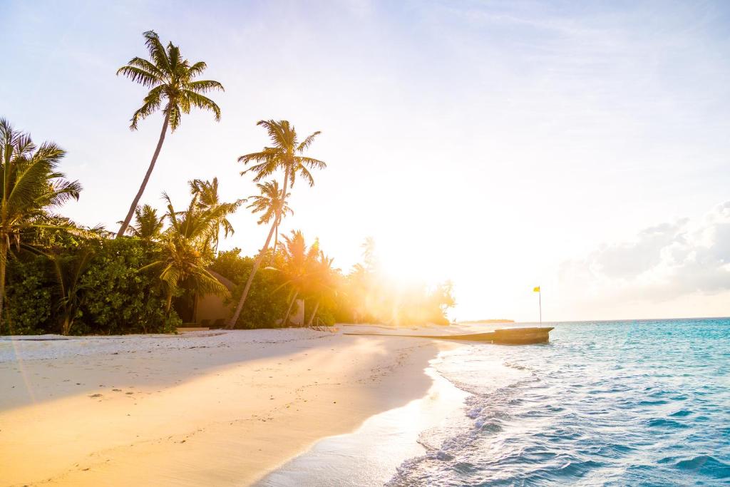 Ayada Maldives - Complimentary domestic transfer for 2 Adults for stays of 7 nights or more, valid for stay dates from May through the end of September 2026 - View 34