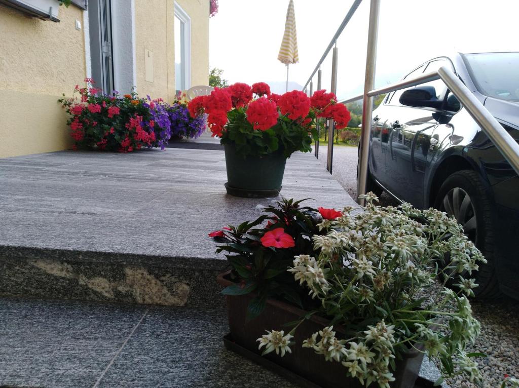 Giardino di Haus Amalia