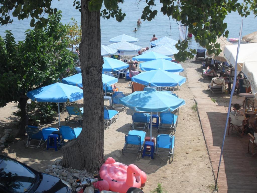 Příroda nedaleko apartmánu