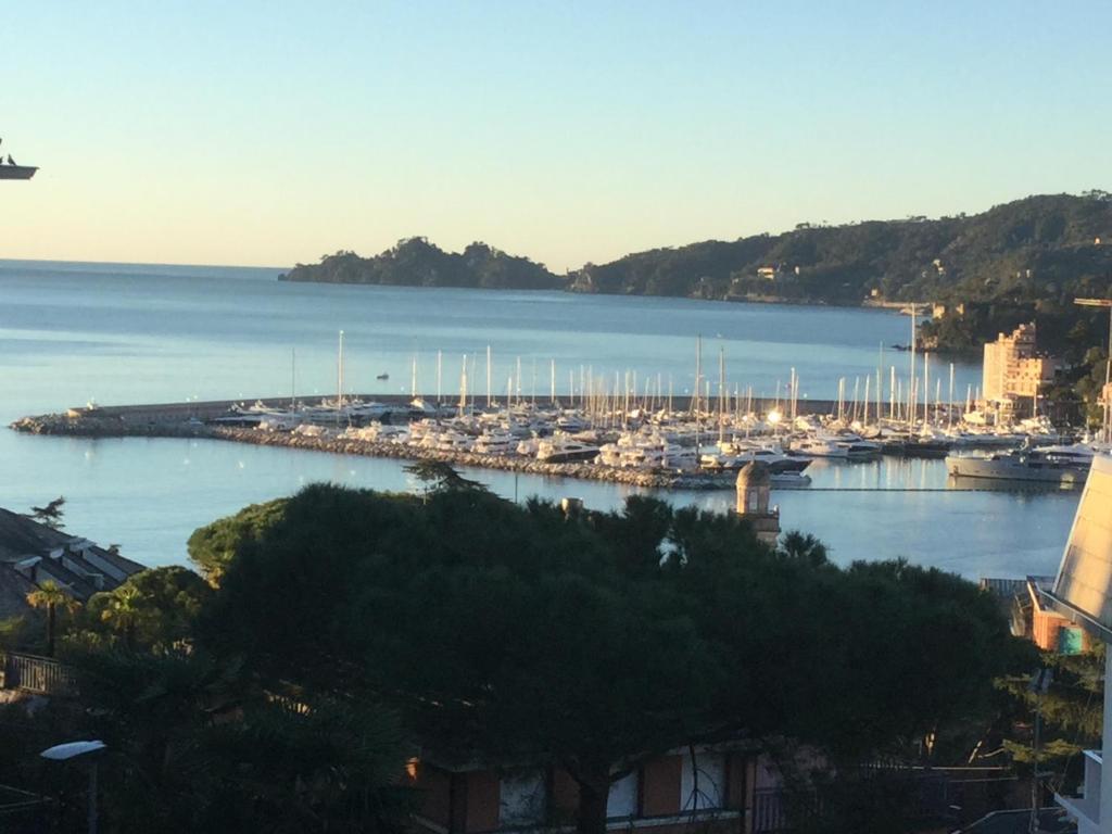 port wypełniony mnóstwem łodzi w wodzie w obiekcie Magia nel golfo del Tigullio w Rapallo