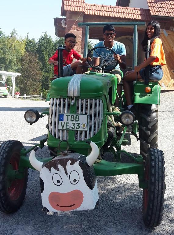 Hosté ubytování Pension Stern