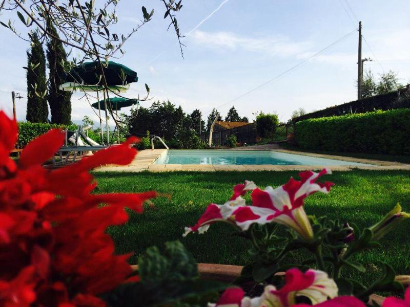 a yard with a swimming pool and red flowers at La Vecchia Camera in Montalcino