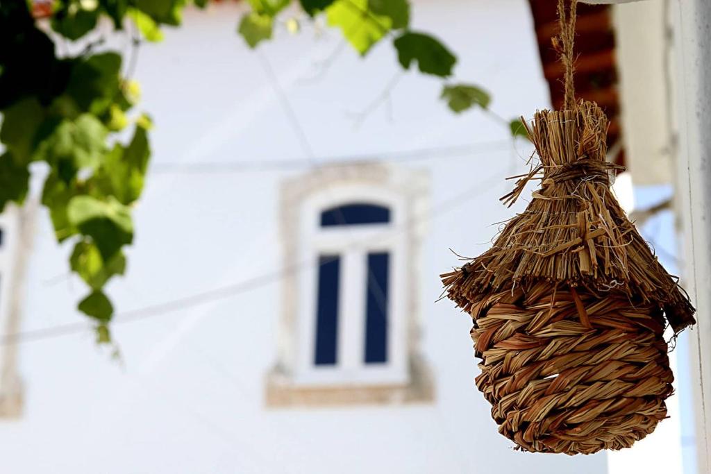 Fotografie z fotogalerie ubytování Oryza Guest House& Suites v destinaci Coimbra