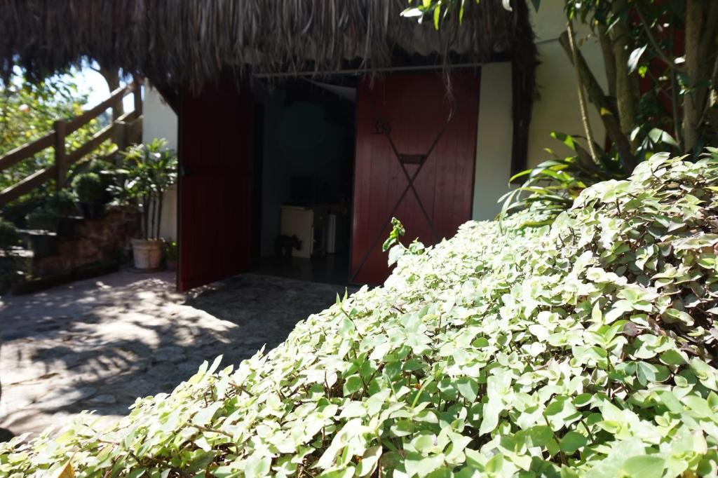  Suite Indiana Ilhabela