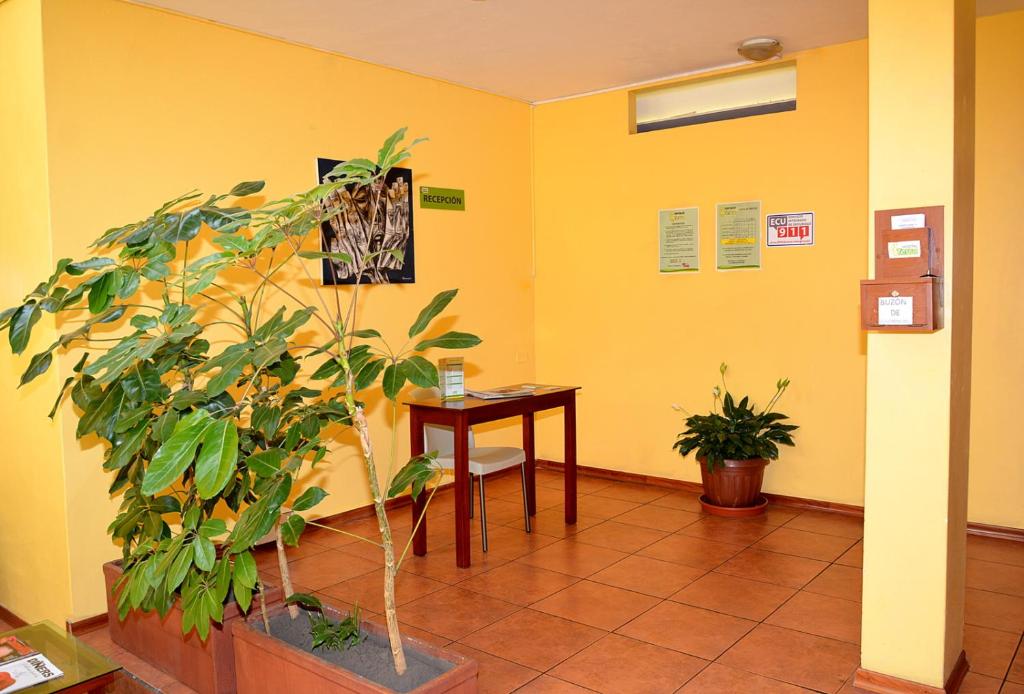 Fotografie z fotogalerie ubytování Hostal Terra 3 - BASE AÉREA v destinaci Quito
