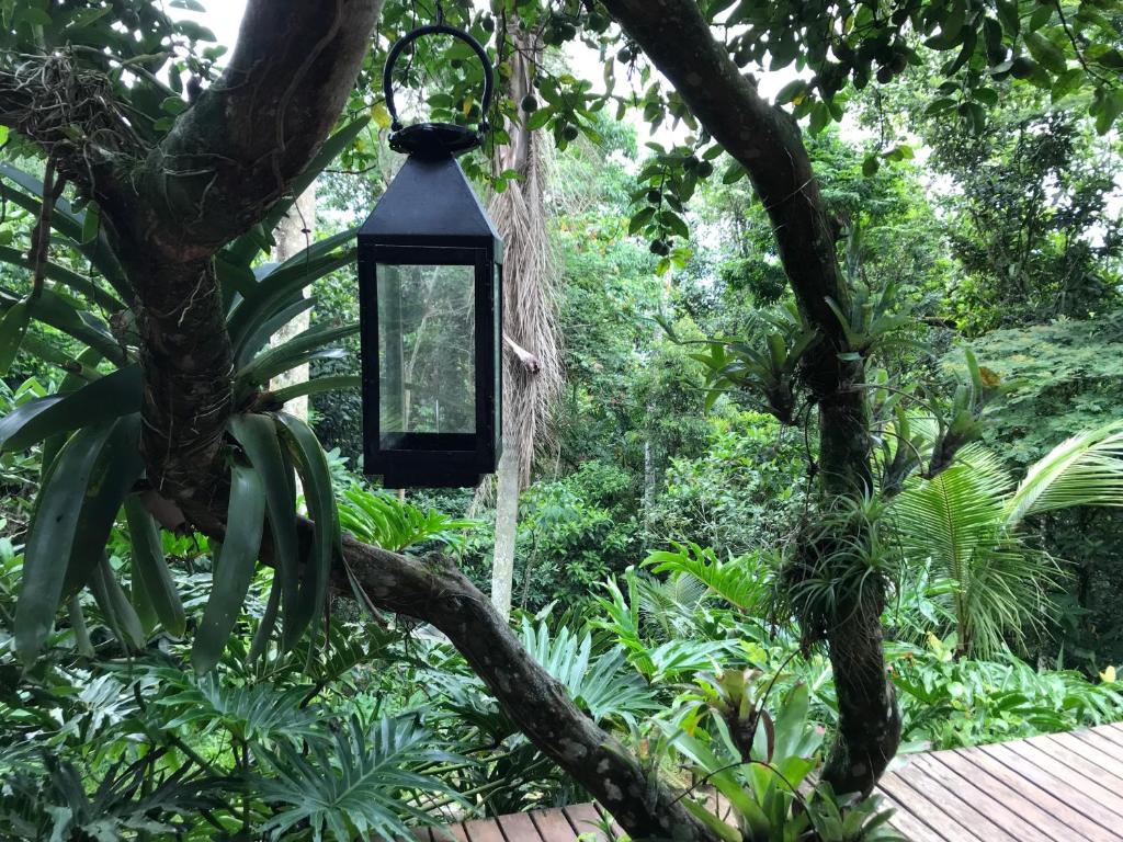  Rainforest House - Ilha Grande