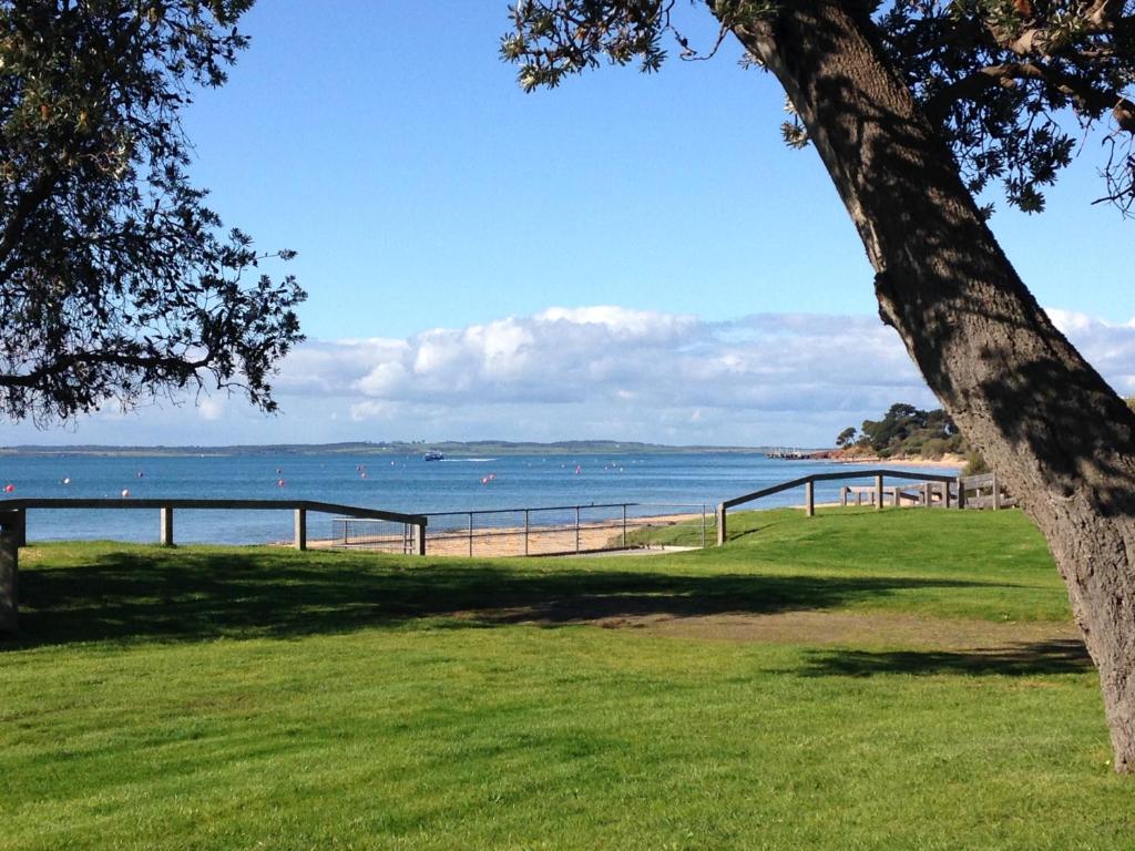 a view of the beach from a park with a tree at NRMA Phillip Island Beachfront Holiday Park in Cowes