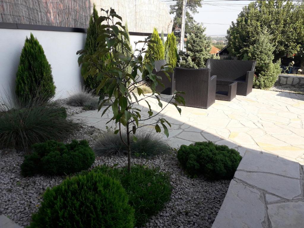 Zahrada ubytování Guest House Vila Salute