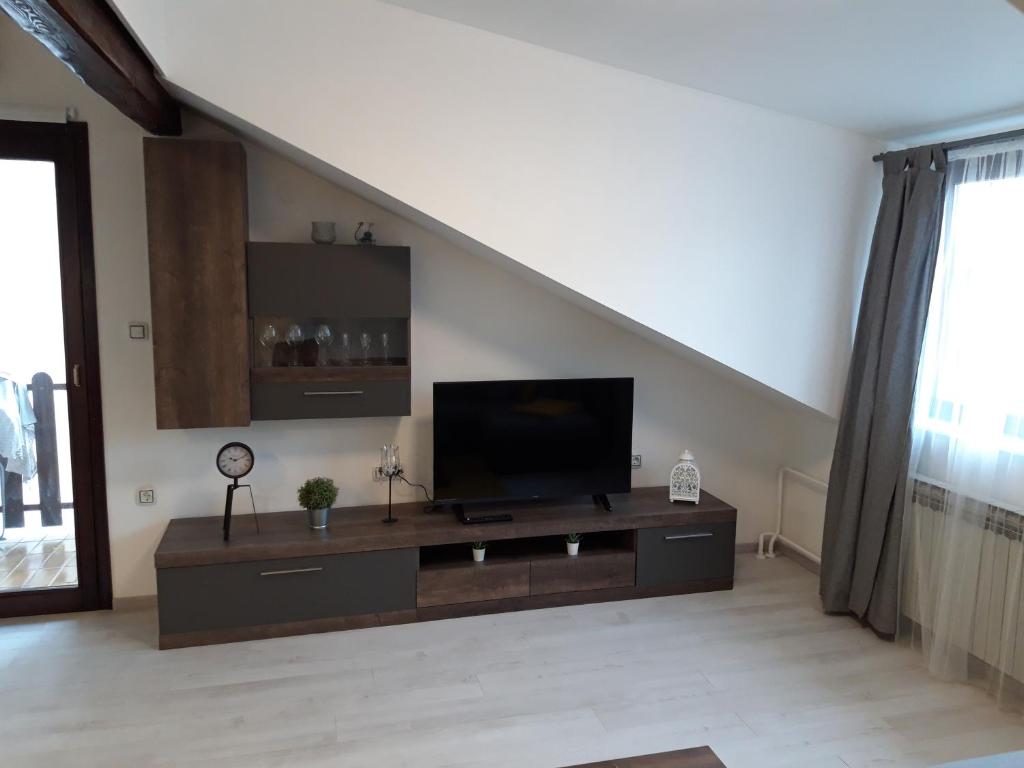 Televízia a/alebo spoločenská miestnosť v ubytovaní Apartman Mohenski