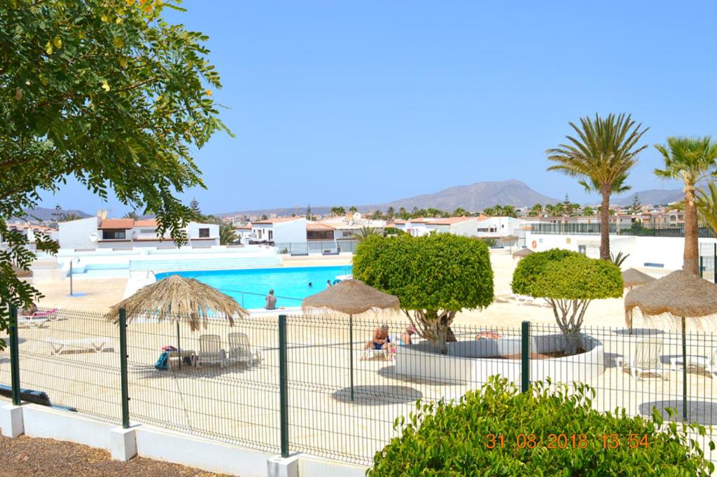 uma piscina com guarda-sóis e um resort em New renovated duplex near the ocean located in Tenerife Sur em Costa Del Silencio