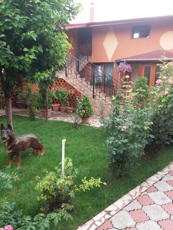 Gallery image of Olimpia Apartments in Alba Iulia