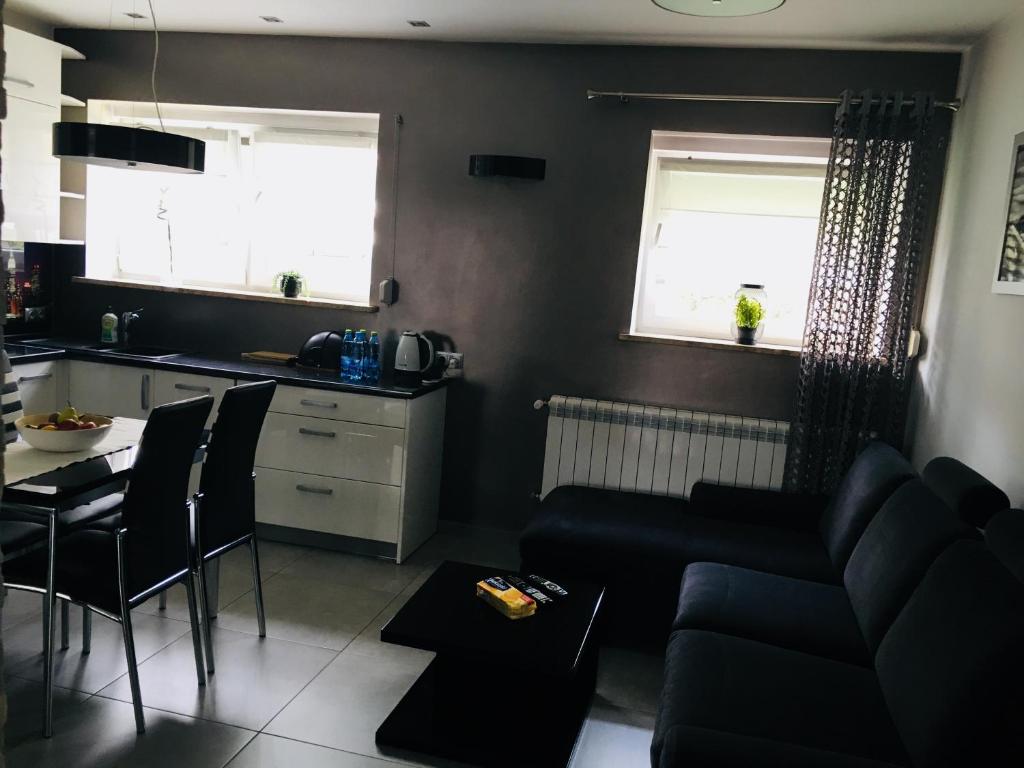Kuchyňa alebo kuchynka v ubytovaní Apartament Ala