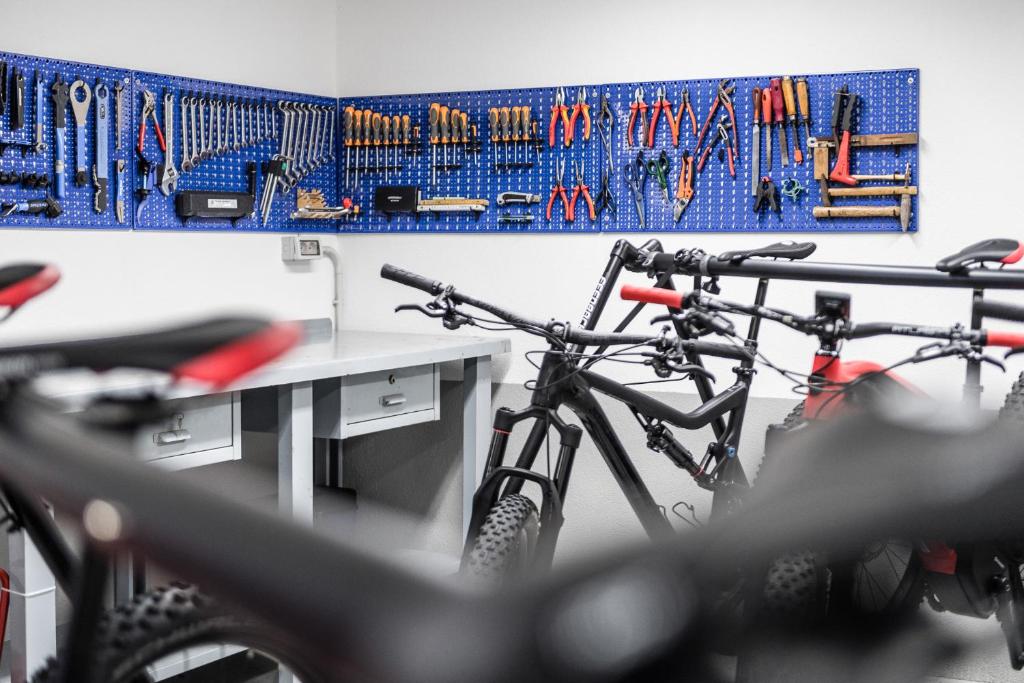 Jazda na bicykli v okolí ubytovania Sporthotel Exclusive