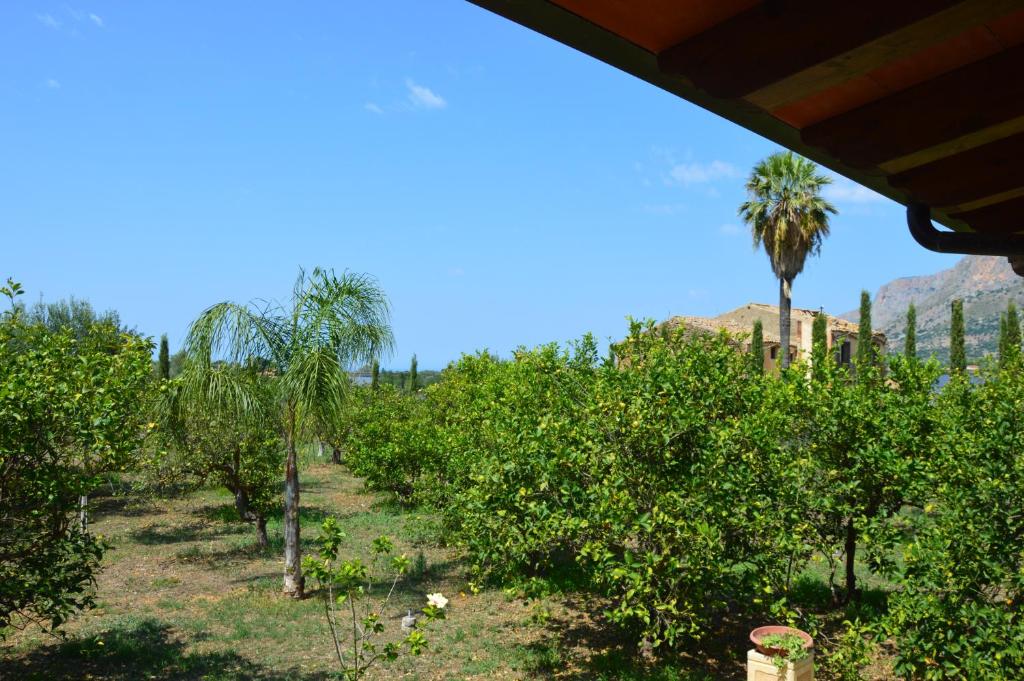 A garden outside Casa vacanza Borgo Parrini