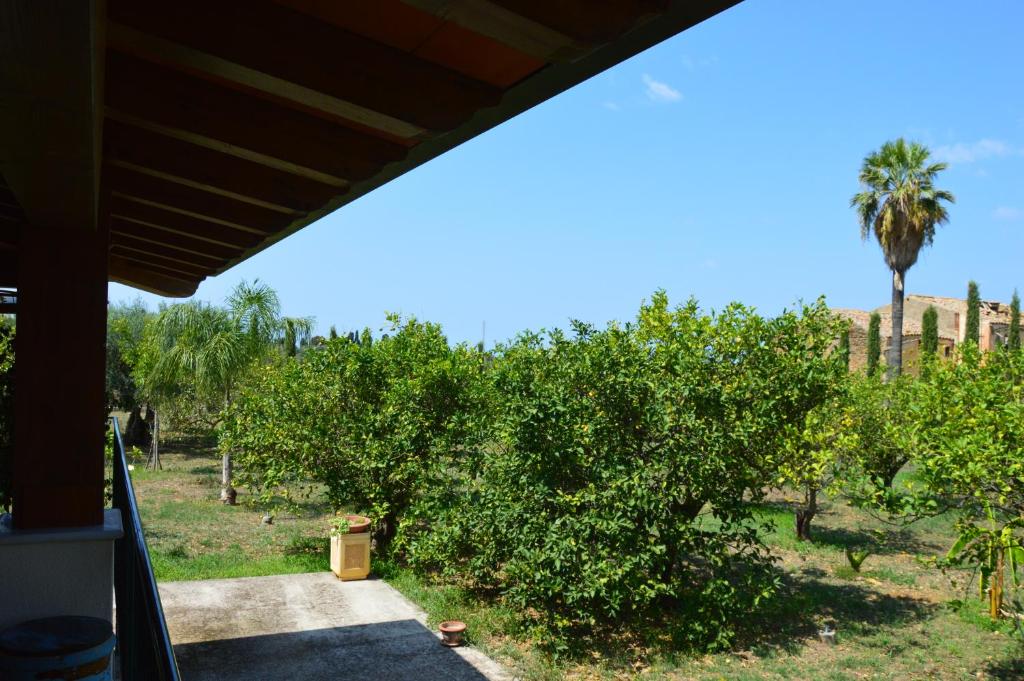 A garden outside Casa vacanza Borgo Parrini