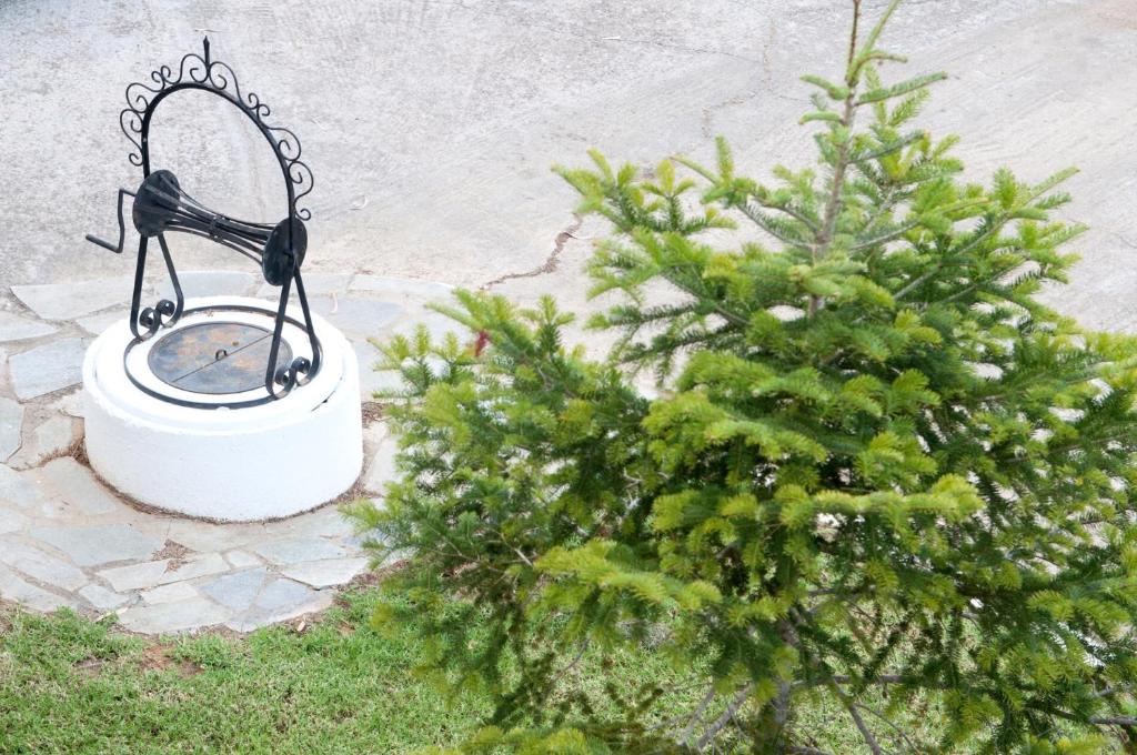 Fotografie z fotogalerie ubytování Oasis Olympia Apartments v destinaci Smíla