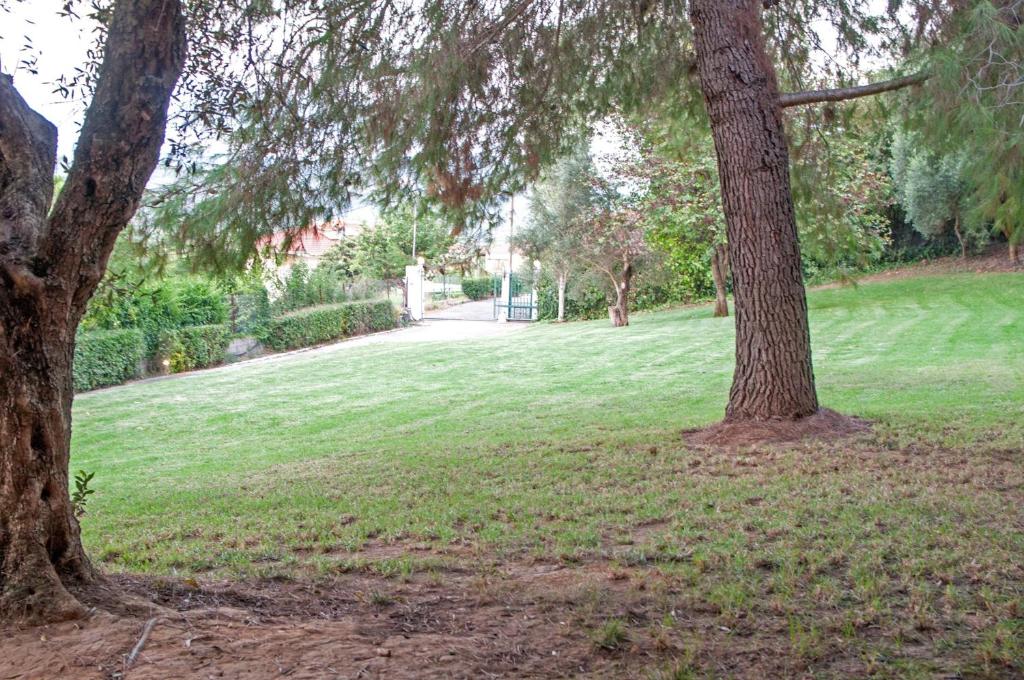 two trees in a park with a grass field at Oasis Olympia Apartments in Smíla