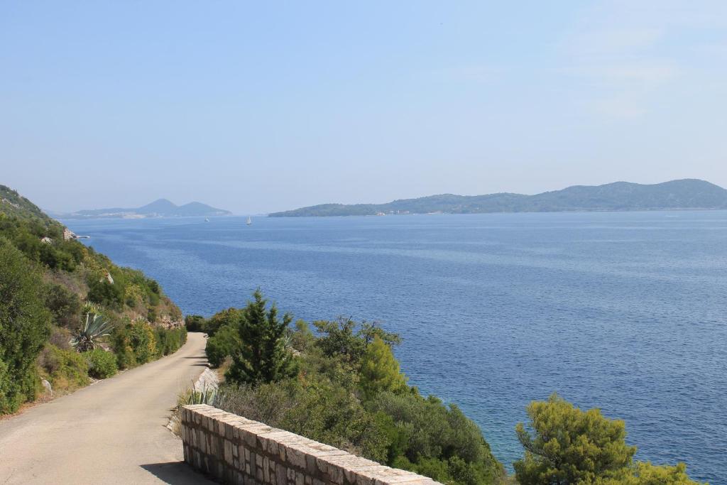 Príroda v okolí apartmánu
