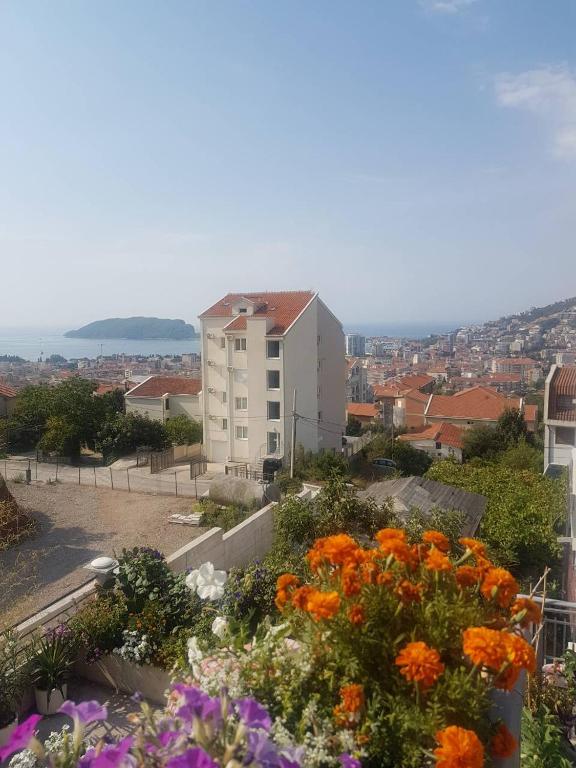 Priroda u blizini of the country house