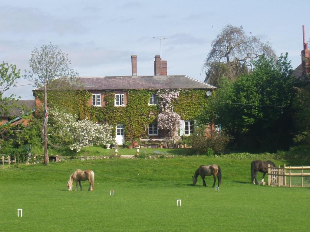 three horses grazing in a field in front of a house at Lower Buckton Country House in Leintwardine